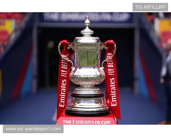 英足总与俱乐部合作加强反歧视教育